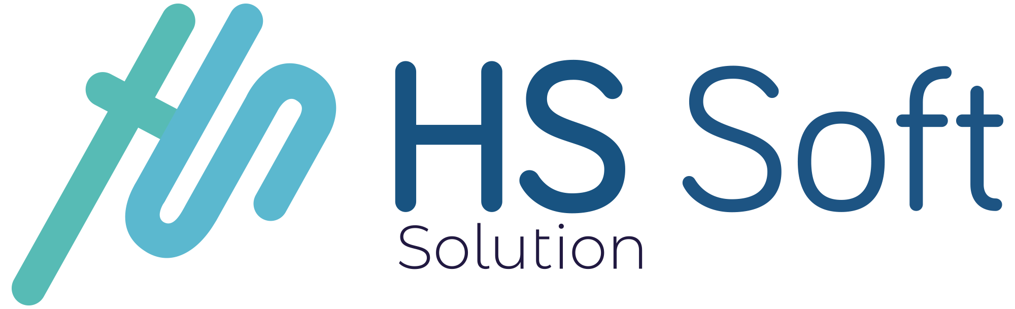 HS Soft Solution